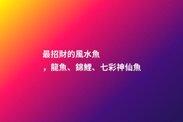 最招財的風水魚，龍魚、錦鯉、七彩神仙魚